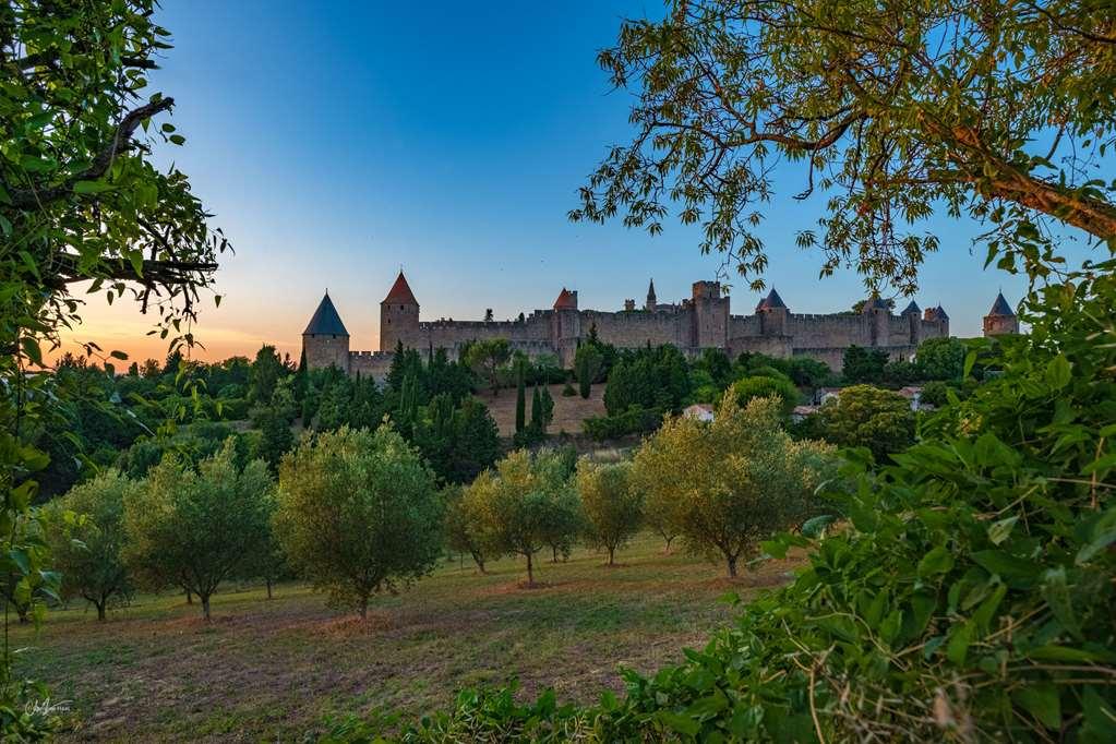 Cerise Sud Carcassonne